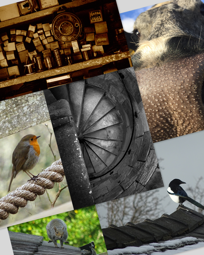 miscellaneous photographs